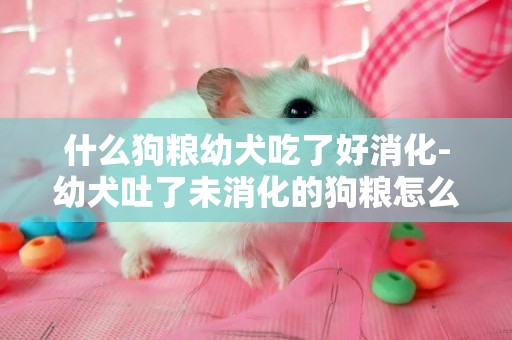 什么狗糧幼犬吃了好消化-幼犬吐了未消化的狗糧怎么回事