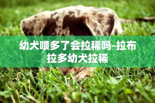 幼犬喂多了會拉稀嗎-拉布拉多幼犬拉稀
