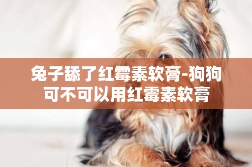 兔子舔了紅霉素軟膏-狗狗可不可以用紅霉素軟膏