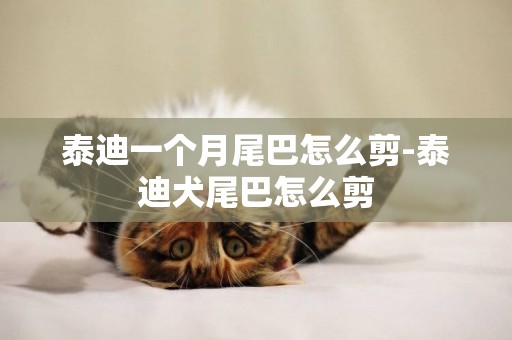 泰迪一個月尾巴怎么剪-泰迪犬尾巴怎么剪