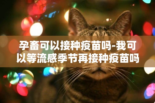 孕畜可以接種疫苗嗎-我可以等流感季節再接種疫苗嗎