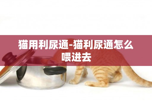 貓用利尿通-貓利尿通怎么喂進去