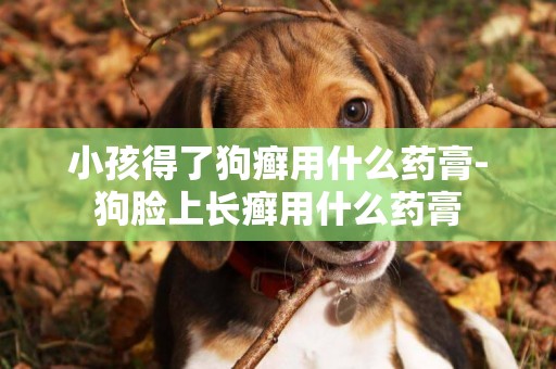 小孩得了狗癬用什么藥膏-狗臉上長癬用什么藥膏