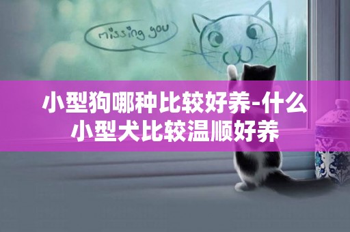 小型狗哪種比較好養-什么小型犬比較溫順好養