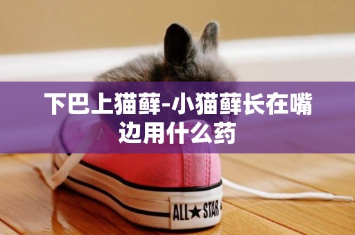 下巴上貓蘚-小貓蘚長在嘴邊用什么藥