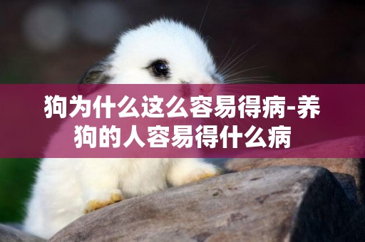 狗為什么這么容易得病-養狗的人容易得什么病