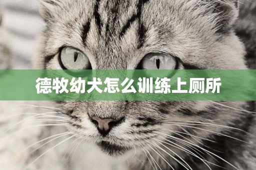 德牧幼犬怎么訓練上廁所