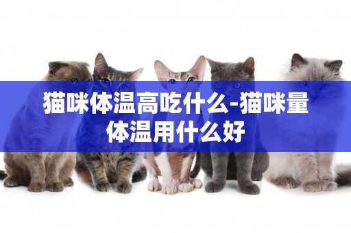 貓咪體溫高吃什么-貓咪量體溫用什么好