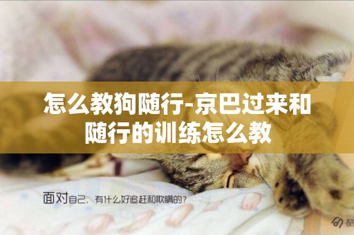 怎么教狗隨行-京巴過來和隨行的訓練怎么教