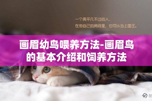 畫眉幼鳥喂養方法-畫眉鳥的基本介紹和飼養方法