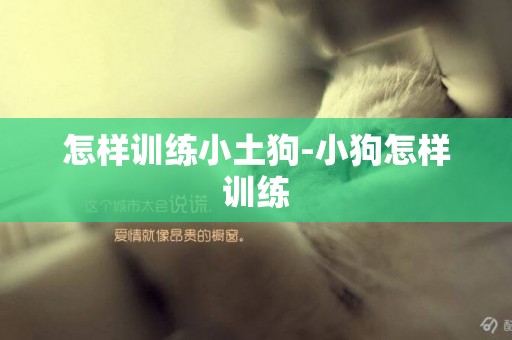 怎樣訓練小土狗-小狗怎樣訓練