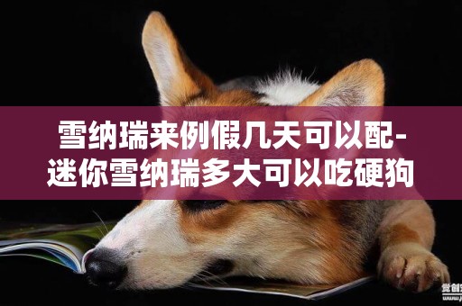 雪納瑞來例假幾天可以配-迷你雪納瑞多大可以吃硬狗糧