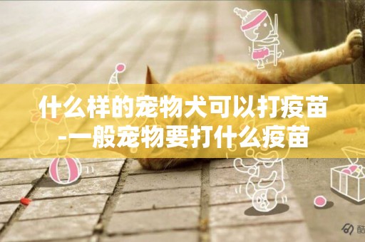 什么樣的寵物犬可以打疫苗-一般寵物要打什么疫苗