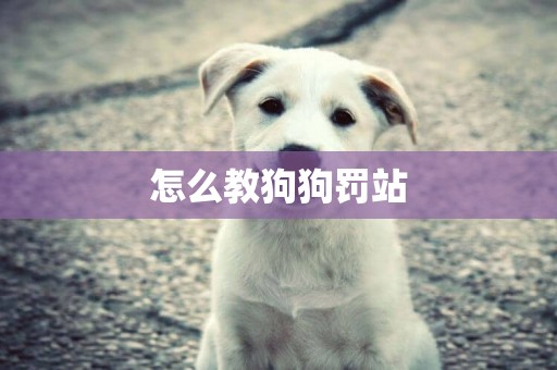 怎么教狗狗罰站