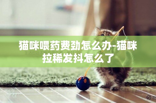 貓咪喂藥費勁怎么辦-貓咪拉稀發抖怎么了