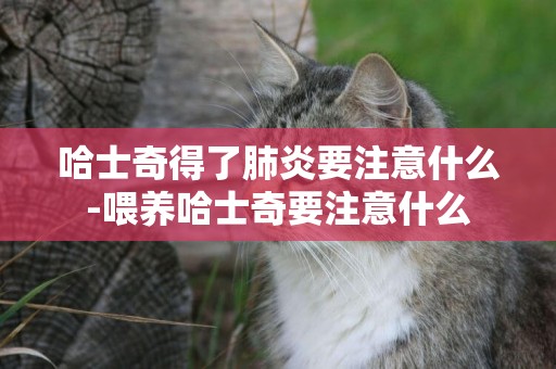 哈士奇得了肺炎要注意什么-喂養哈士奇要注意什么