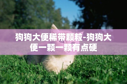 狗狗大便稀帶顆粒-狗狗大便一顆一顆有點硬