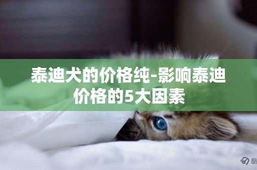 泰迪犬的價格純-影響泰迪價格的5大因素