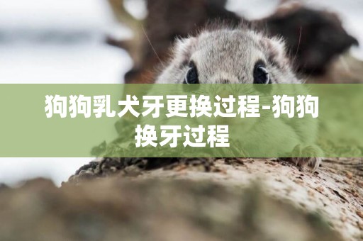 狗狗乳犬牙更換過程-狗狗換牙過程