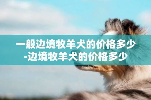一般邊境牧羊犬的價格多少-邊境牧羊犬的價格多少