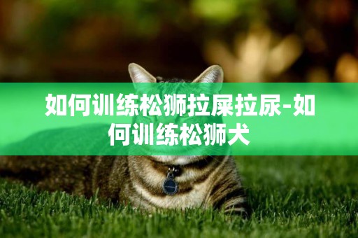 如何訓練松獅拉屎拉尿-如何訓練松獅犬