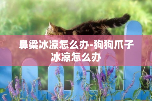 鼻梁冰涼怎么辦-狗狗爪子冰涼怎么辦