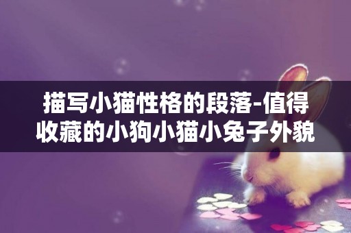 描寫小貓性格的段落-值得收藏的小狗小貓小兔子外貌描寫片段