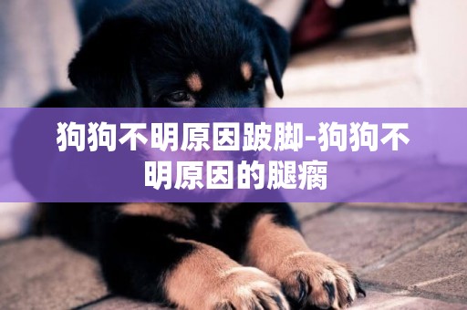 狗狗不明原因跛腳-狗狗不明原因的腿瘸