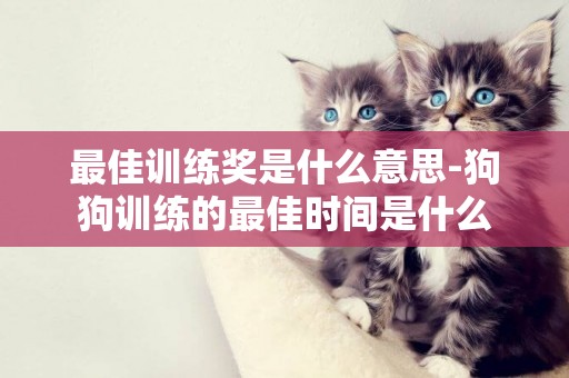 最佳訓練獎是什么意思-狗狗訓練的最佳時間是什么