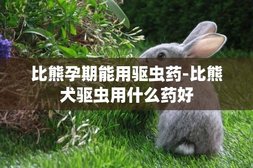 比熊孕期能用驅蟲藥-比熊犬驅蟲用什么藥好