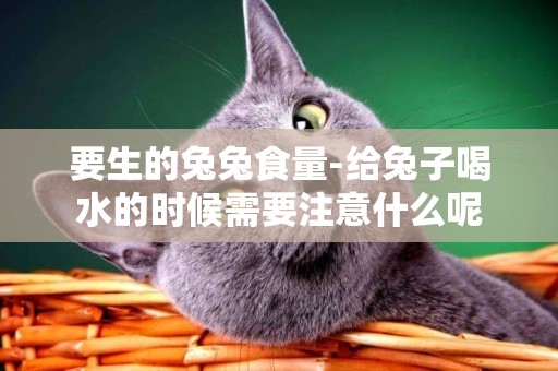 要生的兔兔食量-給兔子喝水的時候需要注意什么呢