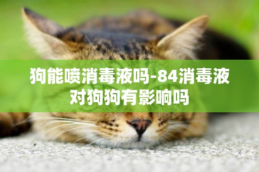 狗能噴消毒液嗎-84消毒液對狗狗有影響嗎