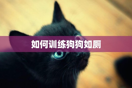 如何訓練狗狗如廁