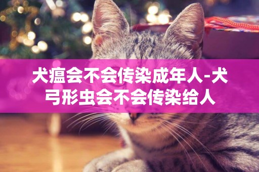 犬瘟會不會傳染成年人-犬弓形蟲會不會傳染給人