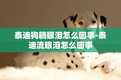 泰迪狗躺眼淚怎么回事-泰迪流眼淚怎么回事