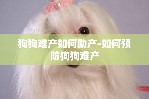 狗狗難產如何助產-如何預防狗狗難產