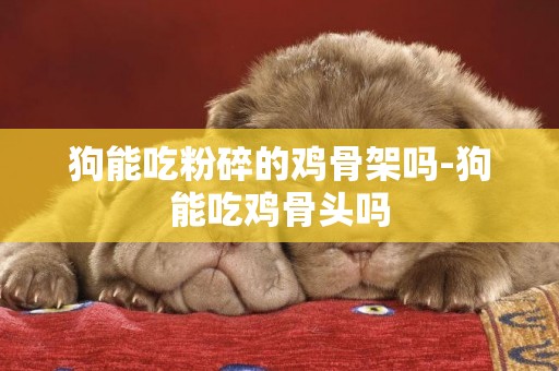 狗能吃粉碎的雞骨架嗎-狗能吃雞骨頭嗎