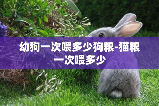 幼狗一次喂多少狗糧-貓糧一次喂多少