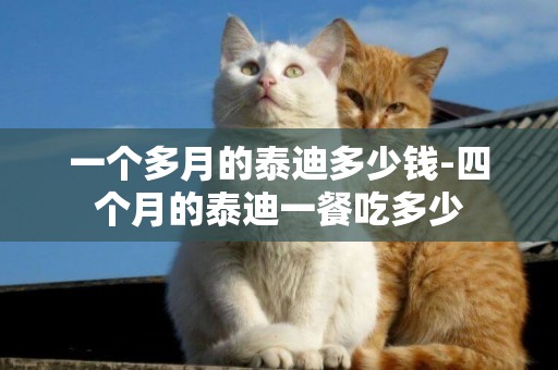 一個多月的泰迪多少錢-四個月的泰迪一餐吃多少
