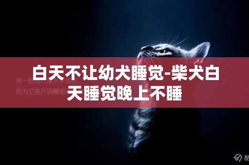 白天不讓幼犬睡覺-柴犬白天睡覺晚上不睡