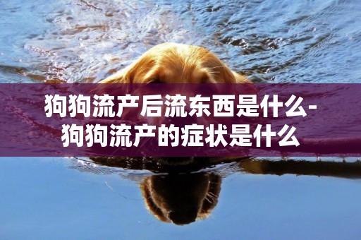 狗狗流產后流東西是什么-狗狗流產的癥狀是什么
