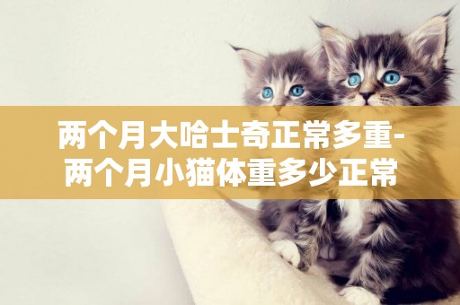 兩個月大哈士奇正常多重-兩個月小貓體重多少正常