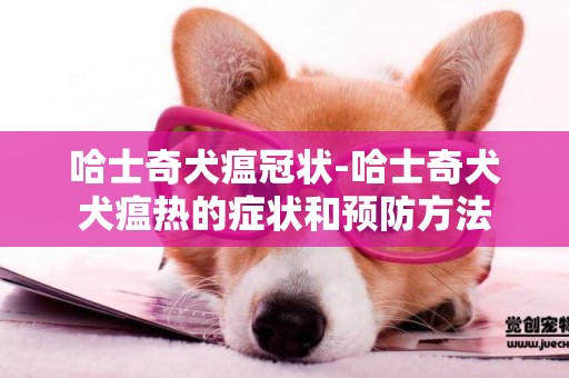 哈士奇犬瘟冠狀-哈士奇犬犬瘟熱的癥狀和預防方法