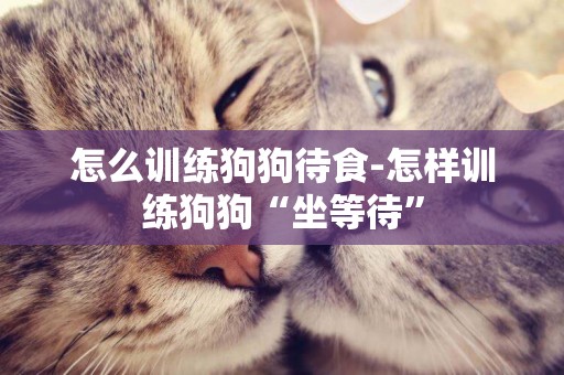 怎么訓練狗狗待食-怎樣訓練狗狗“坐等待”