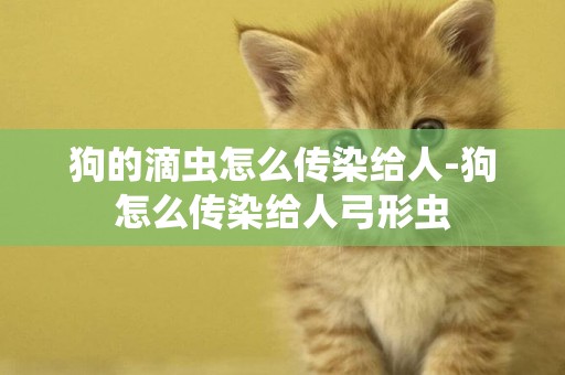 狗的滴蟲怎么傳染給人-狗怎么傳染給人弓形蟲