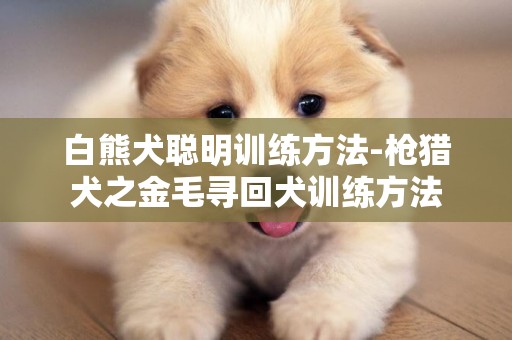 白熊犬聰明訓練方法-槍獵犬之金毛尋回犬訓練方法