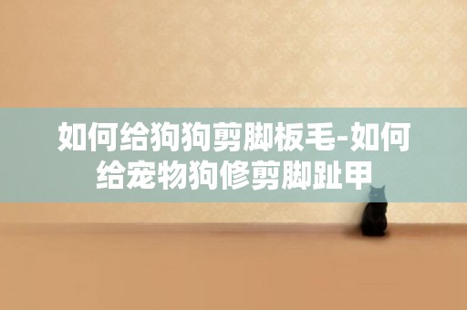 如何給狗狗剪腳板毛-如何給寵物狗修剪腳趾甲