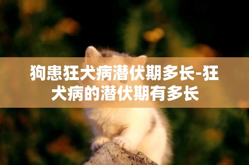 狗患狂犬病潛伏期多長-狂犬病的潛伏期有多長
