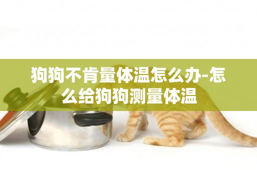 狗狗不肯量體溫怎么辦-怎么給狗狗測量體溫