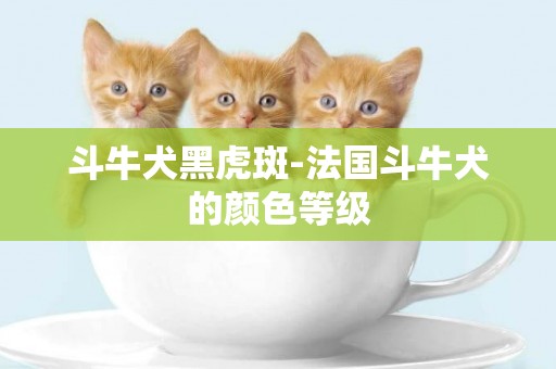 斗牛犬黑虎斑-法國斗牛犬的顏色等級